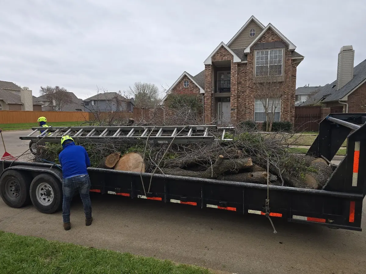 Expert Lot Clearing with proper safety equipment in Gunpowder